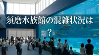須磨水族館の混雑状況は？